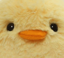 fluffduckq Slack emoji
