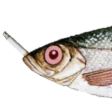 fishsmokeq Slack emoji