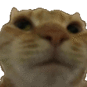 cat no Slack emoji