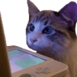 catcomputerq Slack emoji