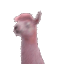 headbangllamaq Slack emoji