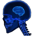 smol brainq Slack emoji