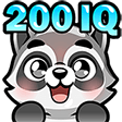 raccoon20 0 Slack emoji