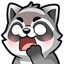 raccoon28 0 Slack emoji