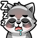 raccoon35 0 Slack emoji