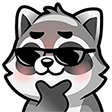 raccoon36 0 Slack emoji