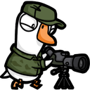goosespotter0 Slack emoji