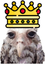 owlking0 Slack emoji