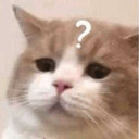 catquestion0 Slack emoji