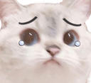 catsadge0 Slack emoji
