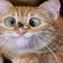 flyoncat0 Slack emoji