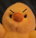 angyduck0 Slack emoji