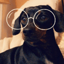 dog0 Slack emoji