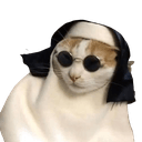 catnun0 Slack emoji