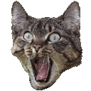 catyell0 Slack emoji