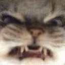 catrawr0 Slack emoji