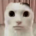 facecat0 Slack emoji
