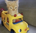 buskitty0 Slack emoji