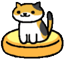 catsitt0 Slack emoji