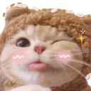 catwink0 Slack emoji