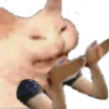 catwat0 Slack emoji