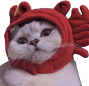 catlobsterh Slack emoji
