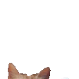 catlurkhi0 Slack emoji