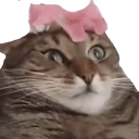 catbowh Slack emoji