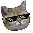 glassescat21 Slack emoji