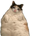 chubkate Slack emoji