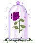 purple rose Slack emoji