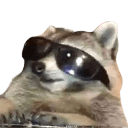 coolraccoon0 Slack emoji