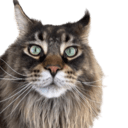 ollie0 Slack emoji