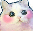 blushkittyq Slack emoji