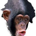 monkeeq Slack emoji