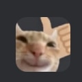 discordmoderation Slack emoji