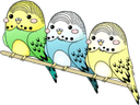 burbsq Slack emoji