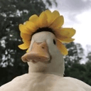 ducflowerq Slack emoji