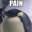 painpengq Slack emoji