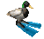 duckflippersq Slack emoji