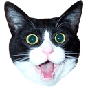 catshookq Slack emoji