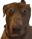 pupperonoq Slack emoji