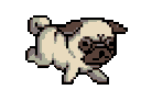 puggyq Slack emoji