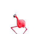 flamingodanceq Slack emoji