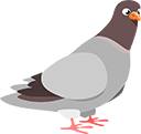 pigeon Slack emoji