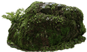 moss1 Slack emoji