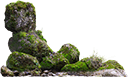 moss2 Slack emoji