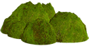 moss8 Slack emoji