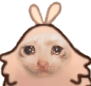 cat26q Slack emoji
