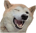winkdogeq Slack emoji
